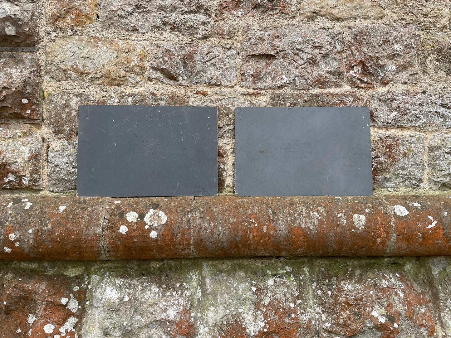 Pair of Apple & Pear Still Life Paintings by E Annett